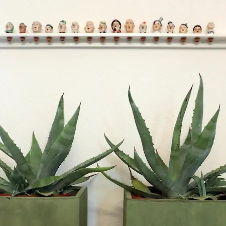 Tricudai Agliano Terme